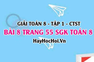 Giải bài 8 trang 55 Toán 8 Tập 1 SGK Chân trời sáng tạo